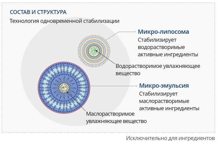 Что такое кракен в даркнете